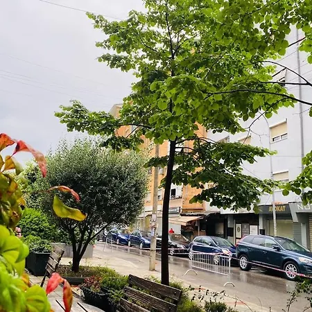 Downtown 2br Scenic Balconies Ac Wifi *